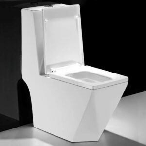 bồn cầu liền khối màu trắng kiểu kim cương bệ ngồi công thái học