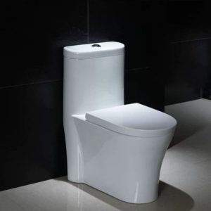 Bồn càu 1 khối màu trắng