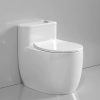 Bồn cầu 1 khối màu trắng cao cấp xả xoáy mạnh
