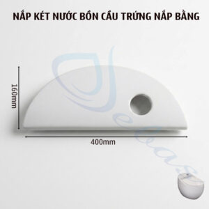 Nắp két nước bồn cầu trứng nắp bằng
