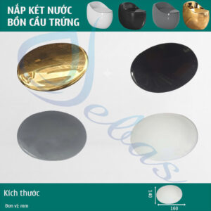 Nắp két nước bồn cầu trứng