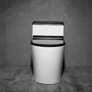 Bồn cầu 1 khối màu trắng đen M820 thiết kế hiện đại, nắp đóng êm Bồn cầu 1 khối màu trắng đen M820 thiết kế hiện đại nắp đóng êm