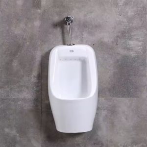 Bồn tiểu treo tường màu trắng T06