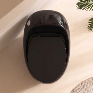 Bồn cầu trứng màu đen bóng BTR4164, xả xoáy mạnh phù hợp nhà tắm nhỏ, thiết kế sang trọng hiện đại Bồn cầu trứng màu đen bóng