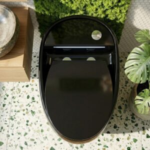 Bồn cầu trứng màu đen bóng BTR4766D Bồn cầu trứng màu đen bóng xả xoáy mạnh