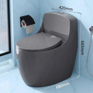Kích thước bồn cầu liền khối màu xám