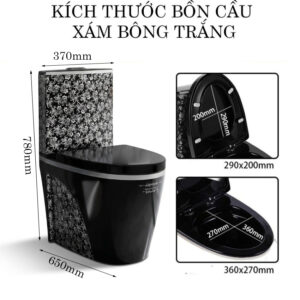 kich thuoc bon cau xam hoa trang kieu siphon